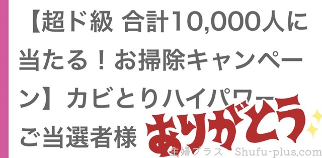 ドンキホーテキャンペーンでカビとり当たった