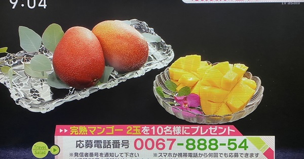 旅サラダ今日のプレゼント応募電話番号 | テレビ朝日 | 懸賞主婦プラス